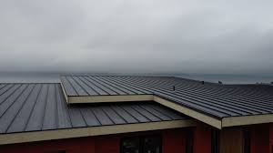 Best Roof Ventilation Installation  in Halls, TN